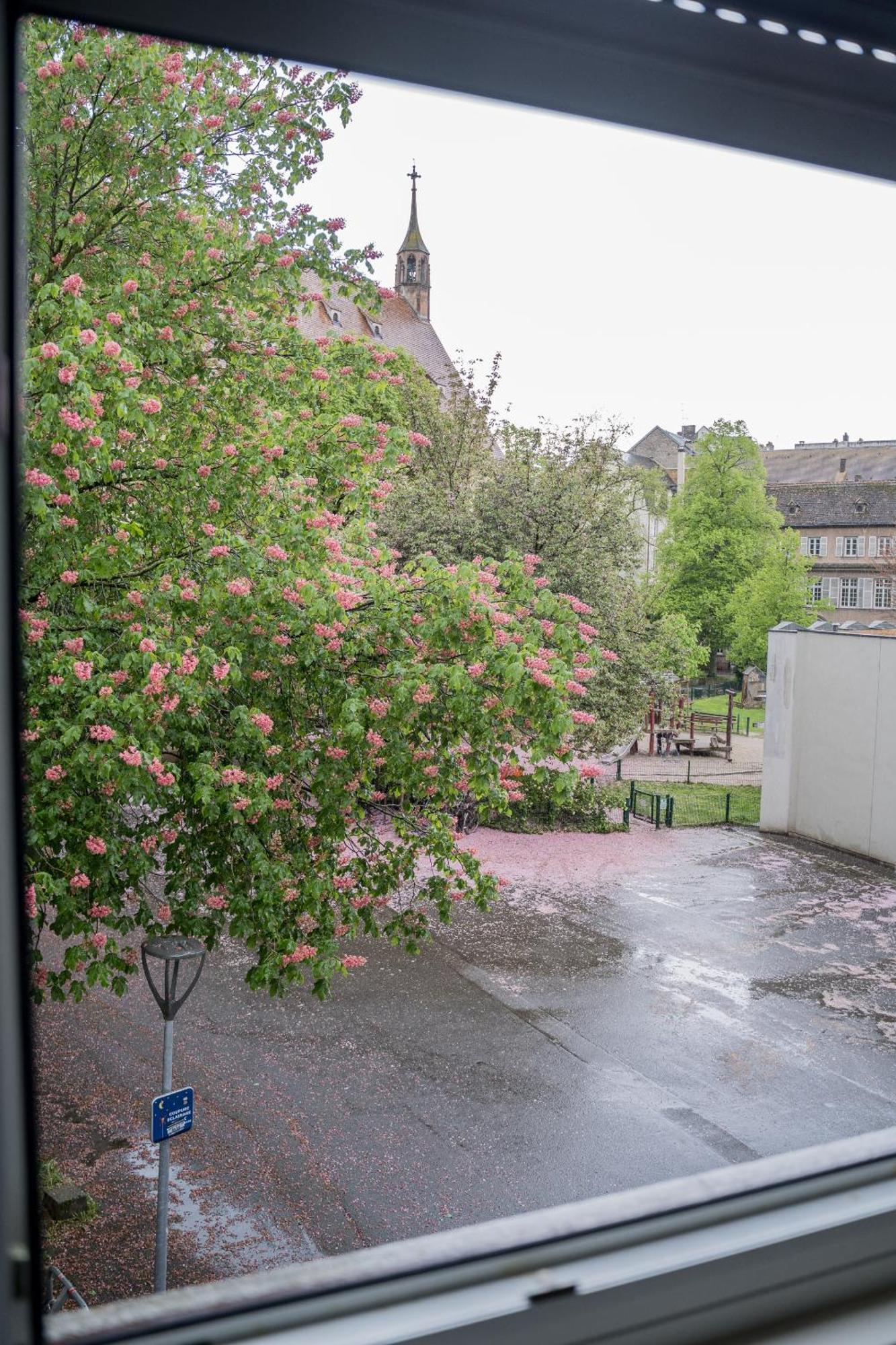 Le Gabriel Apartment Strasbourg Exterior photo